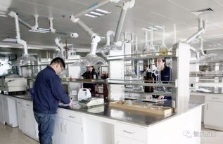 肥西縣高新技術(shù)企業(yè)認(rèn)定實(shí)現(xiàn)新突破，社會經(jīng)濟(jì)咨詢服務(wù)賦能產(chǎn)業(yè)升級